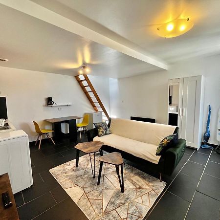 Studios Au Quartier Pavillonnaire Rue D Ambert ออร์เลออง ภายนอก รูปภาพ
